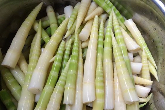箭竹筍