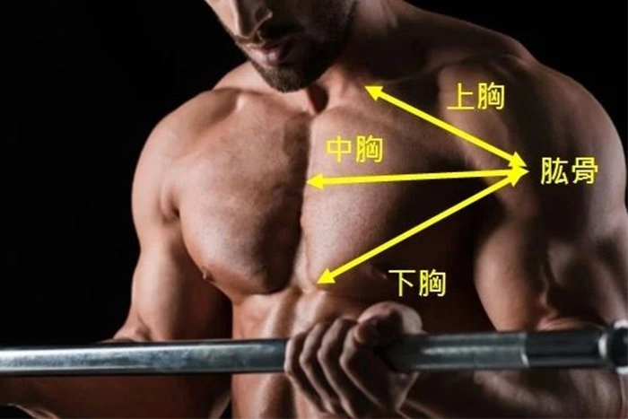 啞鈴飛鳥加上「彈力帶」，練胸效果更好