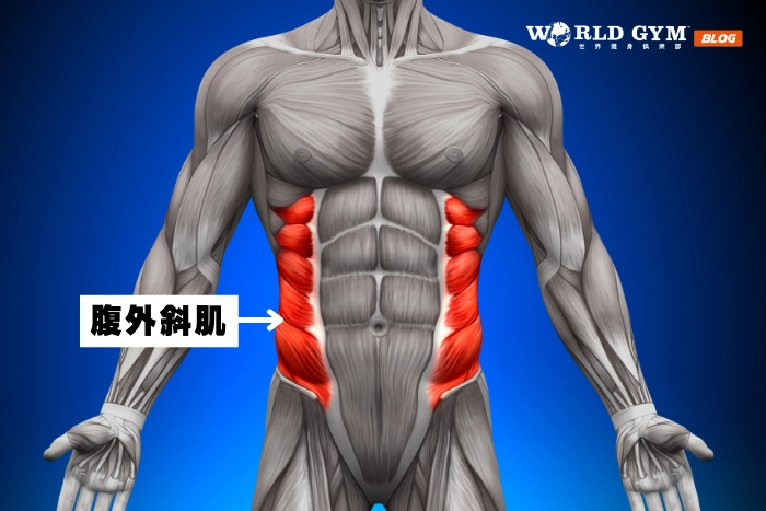 羅馬椅可以做側腹訓練嗎