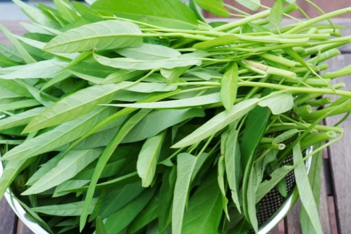 綠色精靈「空心菜」這樣煮，好口感又營養不流失