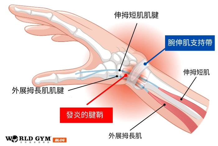 什麼是媽媽手