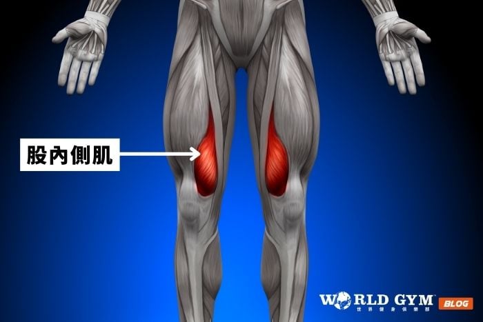 股內側肌