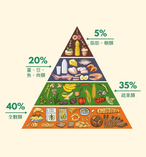 脂肪的真相：好脂肪、壞脂肪對身體的影響