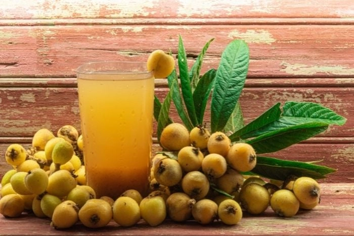 枇杷膏