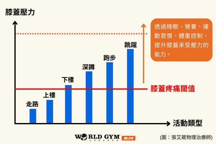 膝蓋程度與活動類型