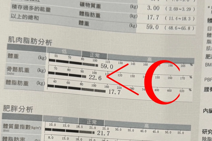 C型人