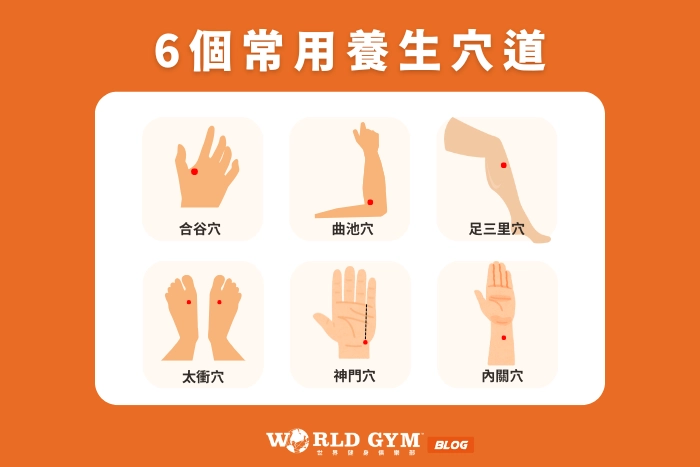 6個常用養生穴道