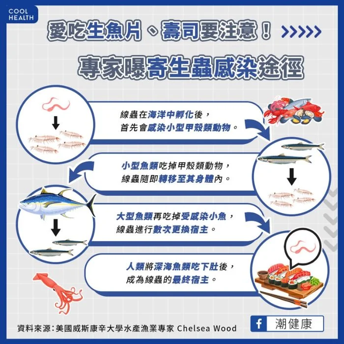 生魚片為什麼會有寄生蟲