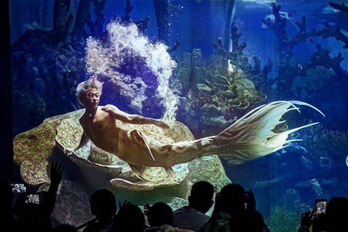 不會游泳可以當美人魚嗎_