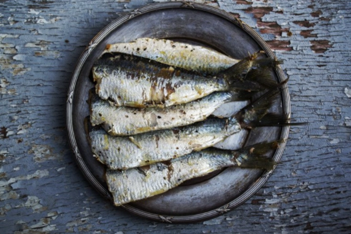 富脂肪魚類