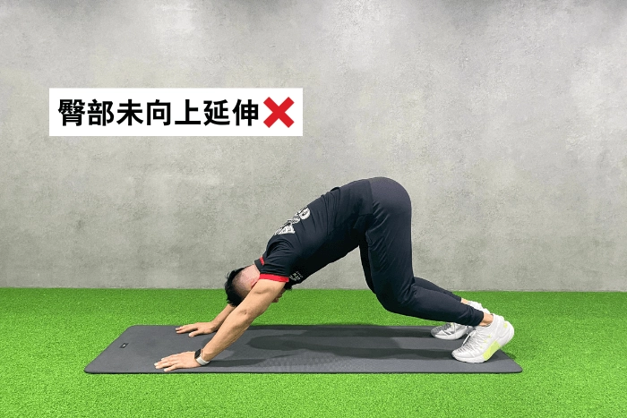 3. 臀部未向上延伸