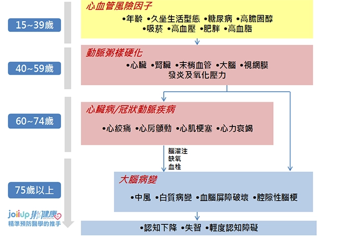 心臟和大腦之間的聯繫