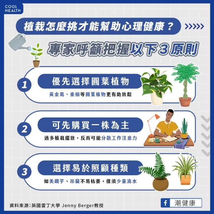 辦公室植物挑選方式