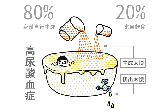 尿酸是什麼？為什麼會尿酸過高