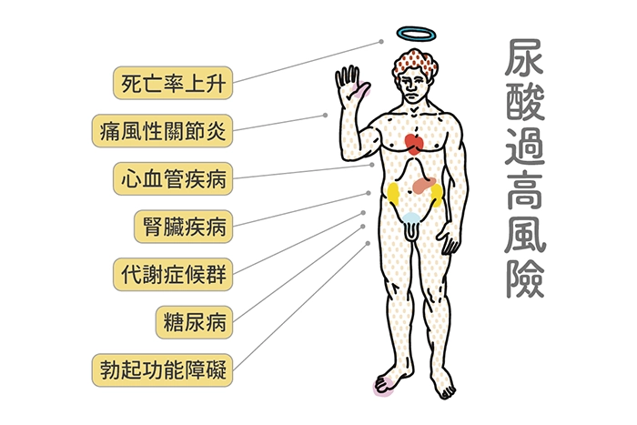 心血管疾病