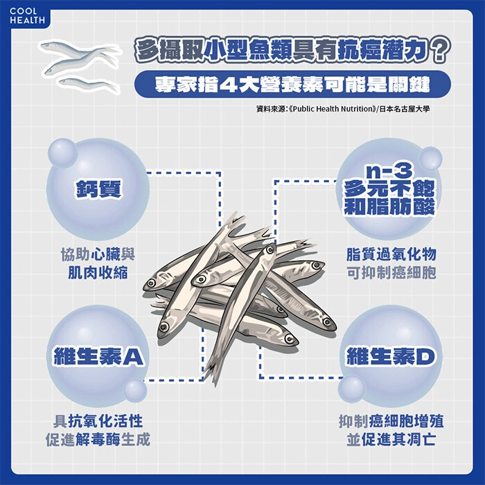 吃魚好處多！即使是小魚乾也有幫助