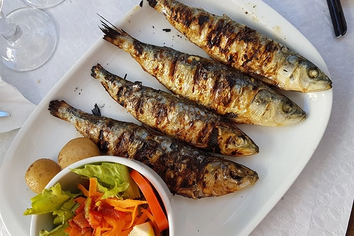 沙丁魚