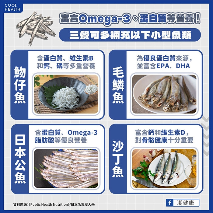 小型魚類「4大營養成分」或為抗癌關鍵