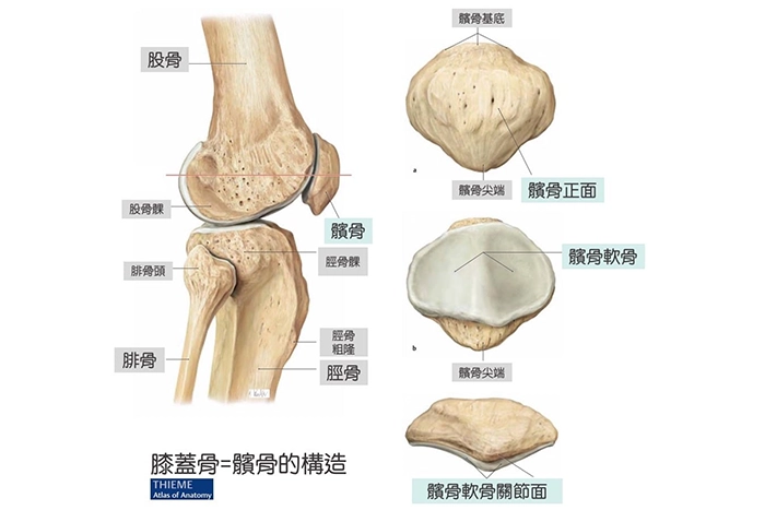 膝蓋好痛！可能是跑者膝在作怪，學會3方法助改善