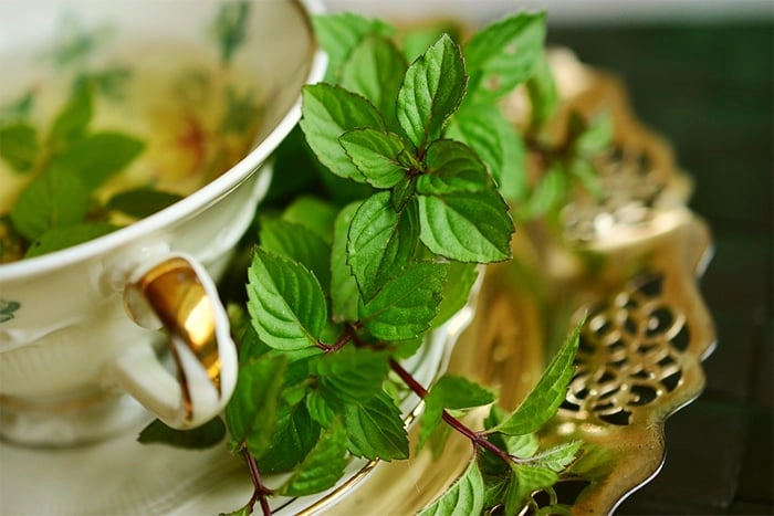 薄荷茶