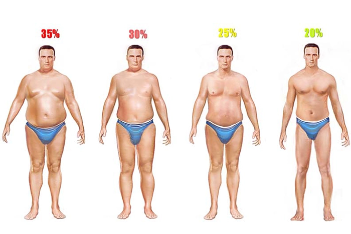 男性體脂