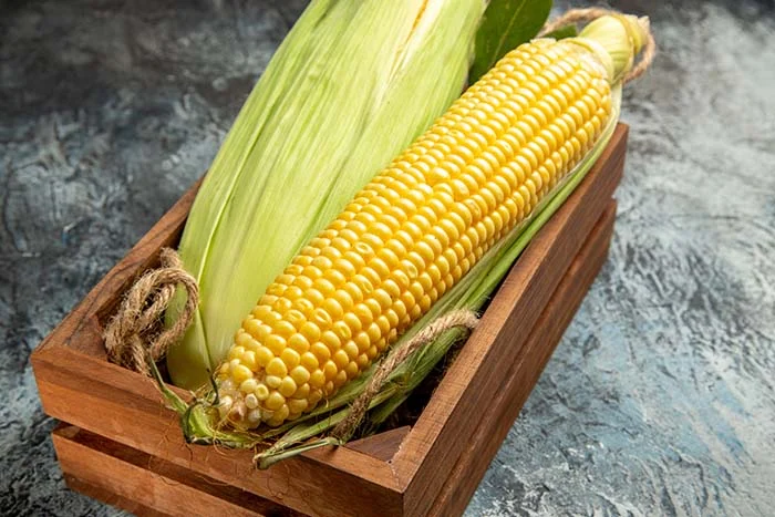 玉米