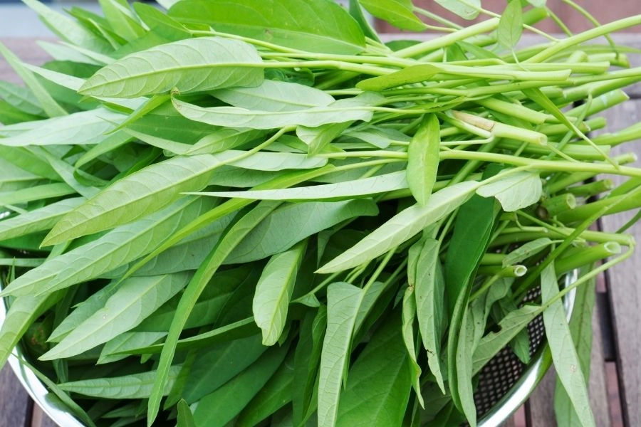 綠色精靈「空心菜」這樣煮，好口感又營養不流失