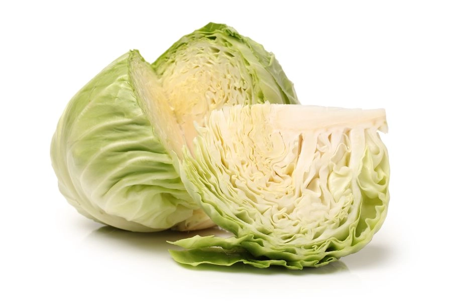 高麗菜1/6減肥學 跟著日本人這樣瘦!