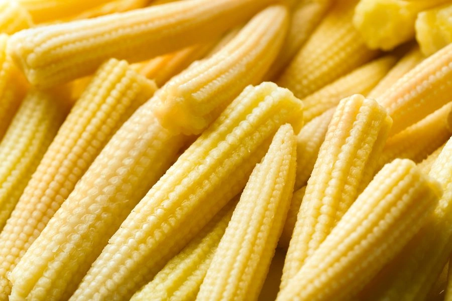 小時候的玉米「玉米筍」 低熱量又助瘦！