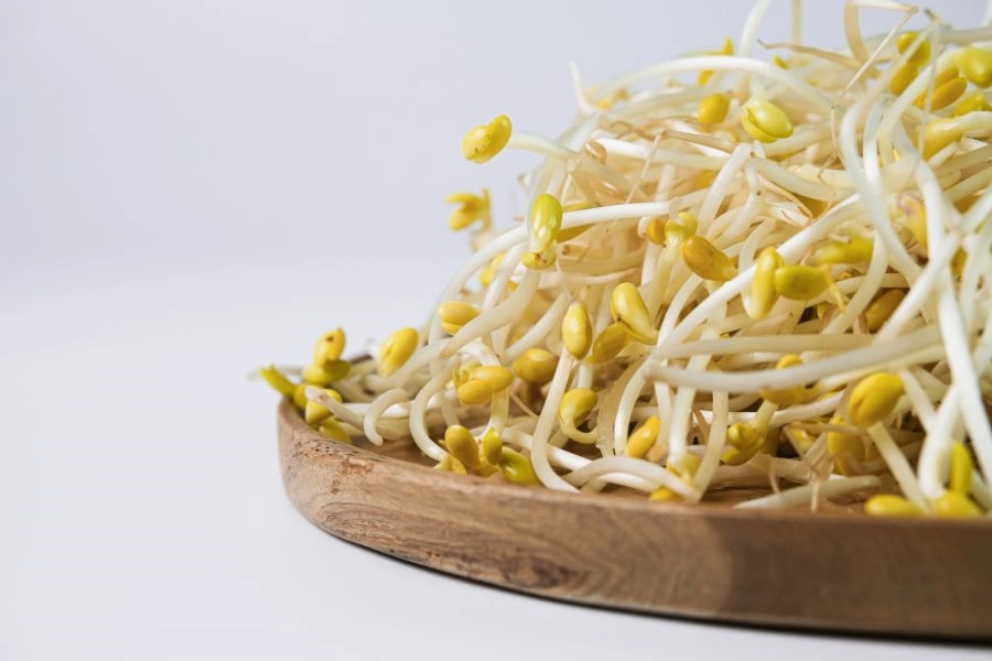 豆芽菜好營養 這樣煮吃進12大好處